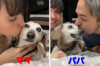 キスしていいのはママだけ！ママとパパが愛犬に交互でキスしたら、愛犬の露骨に違う態度が面白い！