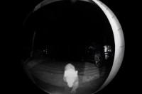 夜中に鳴るインターホン、こんな時間に誰だ？とカメラを確認すると熊さんがご訪問！？