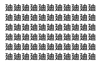 【脳トレ】「廸」の中に紛れて1つ違う文字がある！？あなたは何秒で探し出せるかな？？【違う文字を探せ！】