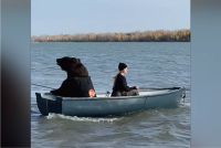 釣りを楽しむ女性の相方の姿にビックリ！クマがボートに乗っている！？【海外・動画】