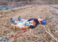 仲良くウトウト。藁の上で気持ちよさそうに横になる男の子と柴犬の姿が話題に「藁って何気に暖かい」「素敵な腕枕で幸せそう」
