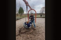 いっぱい揺らしてもらったタイヤブランコから降りたら・・。フラフラして立っていられなくなっちゃった！！【アメリカ・動画】