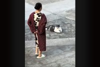 どっこいしょ。ごろりと寝転がる大きなネコが・・ママさんに抱きかかえられて運ばれていく～【海外・動画】