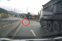 【衝撃のドラレコ映像】道路を何かが横切ろうとしていたので停車すると・・。道路上にいてはいけないはずの衝撃の光景が！！