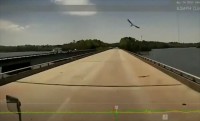 【こんなことある？！】走行中の車に鳥が向かって来て・・、衝撃的なハプニングが発生！！