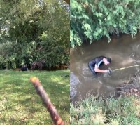 愛犬と遊ぼうと木の枝を川に投げたら・・。リードを握る男性に気付かずハプニングに！！【海外・動画】