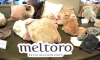 ベルメゾン meltoro メルトロ が猫ちゃんの肌触りと同じぐらいふわふわで温か！ 新作もいろいろ登場、ネコちゃん撫でてる感覚