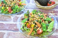 カネリョウ海藻の最新海藻レシピで花粉症対策！ 善玉菌 乳酸菌と水溶性食物繊維のシンバイオティクスでおいしく楽しく腸活