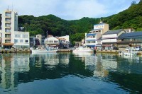 島根県 松江の街と宍道湖から 中海に浮かぶ弁慶島の物語に出会う水面絶景しまねバス旅時間へ♪ 国道431号 松江美保関往還の美しい水面とその先に待っている衝撃光景へ