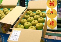 梨といえば生産量1位の千葉県産　初モノ好きが待ち望むJA長生 一宮・岬梨組合の幸水「ながいき梨」が東京大田市場で初競り20玉1万円！ 首都圏の百貨店などで1個800円前後か