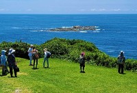 三井不動産レジデンシャル シニアサービスレジデンス「パークウェルステイト」の住環境を社会老年学専門家が高く評価　健康寿命をのばし活発な交流 運動 生活習慣を実現