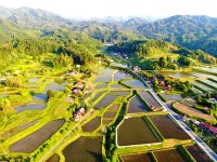 世界農業遺産に認定された奥出雲の棚田をめぐる食の旅へ　島根県産 仁多米 比田米 神楽米 ことしの新米を 奥出雲 NAORAI で販売　ふっくら粒立ち絶品を木次線に乗って