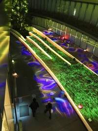 ボートレースの東京リトリート空間 SIX WAKE ROPPONGI の夜がエモ映え！ 光と音のアート INSTALLATION 2025 ～ジパング黄金の庭～　1/20まで　BOATRACE振興会