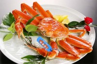 島根県 隠岐松葉ガニ を味わうならいま！ うまいワケを隠岐の島を旅して確かめる絶好機会　隠岐プラザホテルの宿泊プランもおすすめ☆ ふるさと納税返礼品も注目☆