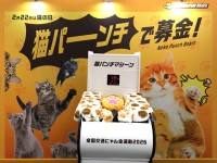 イエローハット 全国交通にゃん全運動　2/20～2/22 渋谷マークシティ「猫パンチで募金」で猫を交通事故から救おう◎　WEBでも募金OK☆　店頭で保護猫譲渡会＆プレゼントも！