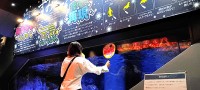 東京スカイツリータウン すみだ水族館「すみだオットセイファン感謝祭」3/27～5/18 開催☆ 5頭の性格やクセも丸見え◎ ハマる深みがいっぱい◎ 推し活もできちゃう♪