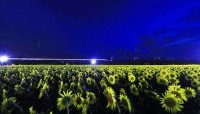 9/22 夜行新幹線 新大阪→東京 運行☆　JR東海ツアーズで販売　普通車指定席1万7000円　新富士で6時間停車