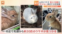 「生き物の不法投棄だ」神奈川・逗子市の山中でウサギ30匹保護 取材中の記者も発見　警察が捜査