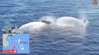 【独自】緊迫の船内映像を入手…中国艦船による放水砲でフィリピン船が損傷、乗組員4人けが 領有権対立深まる南シナ海