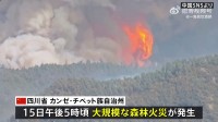 パンダ生息地近くで大規模な森林火災　中国・四川省　3300人以上が避難