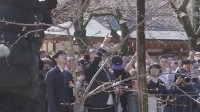 【速報】東京の桜ようやく開花発表　2013年以降で最も遅い