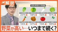 「野菜が高い」食卓を“直撃”…今が旬「春キャベツ」も高騰、不作で旬の「イチゴ狩り」休止に、今後の価格は？【Nスタ解説】