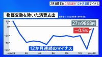 【速報】今年2月の消費支出0.5％減少　物価高で12か月連続のマイナス