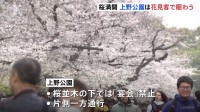 桜満開　都内の名所に多くの花見客　上野公園には外国からの旅行客も「桜を見られて感動的、夢が叶いました」