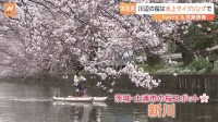 「贅沢な時間」水上自転車に乗り“川の上”からお花見　茨城県土浦市