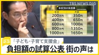 年収600万円で月1000円 「子ども・子育て支援金」年収別の負担額の試算公表 街の声は？ 事業者も“負担増”への懸念も【news23】