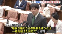 「増税が嫌だから保険料を使うのは一線を越えた対応」“こども・子育て支援金”をめぐり野党が追及