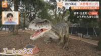 栃木で“動く恐竜”に出会える！？鳴き声や動きが迫力満点！恐竜のふしぎも解説！3月にオープンした子どもに人気の施設【すたすた中継】