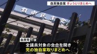 政治資金規正法の改正、自民が独自案とりまとめ　「確認書」作成義務づけ