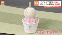 全国から100種類超　アイスクリーム万博「あいぱく」開幕