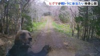 ヒグマが車に体当たり　フロントガラスがひび割れ　北海道根室市の林道