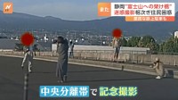 住民困惑！静岡でも富士山撮影で迷惑行為　“富士山への架け橋”SNSで投稿相次ぎ撮影スポットに