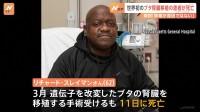 世界初ブタ腎臓移植の患者が死亡　順調回復も術後2か月で 「移植が原因で亡くなったとは見られない」