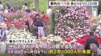 400種類のバラが咲き誇る　海外からの観光客ら約2万3000人が訪れる　東京・神代植物公園で「春のバラフェスタ」