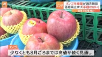 「高いけどさらに上がる」過去最低の生産量でリンゴの価格が高騰中　買い時は…イマ？