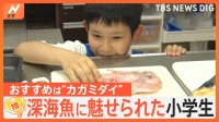 「もっとみんなに食べてほしい」深海魚に魅せられた小学4年生【ゲキ推しさん】