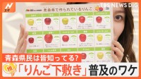 「りんご下敷き」青森県民はみんな知ってる？昭和に“価格暴落”のりんごのPRのために制作か【ゲキ推しさん】