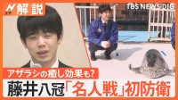 藤井聡太八冠 「名人戦」で豊島九段に勝利し初防衛　「非常にかわいかった」アザラシの癒し効果も？【Nスタ解説】