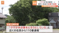 日光でクマ出没 「木の実をとろうとしていた」と110番通報　2時間前には日光の葬儀場でガラス割れる被害　現場にクマとみられる足跡と毛が…　栃木県