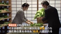 皇后さまの養蚕　蚕に桑を与える「給桑」に楽しそうに臨まれる