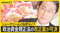 総理からシュークリームの差し入れ…「抜け穴」と指摘の政治資金規正法の改正案が委員会で可決　解散・総選挙のタイミングは？【news23】