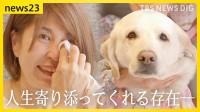 まもなく引退する盲導犬コニーと家族との絆　～ともに生きていく～【news23】