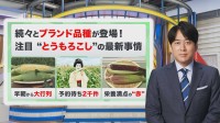 今年の夏は“とうもろこしブーム”到来！？「宝石のような赤色」から「予約待ち2千件」まで！とうもろこしが今アツい【THE TIME,】