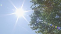 【速報】福島・梁川で35.2℃を観測　今年初の猛暑日に