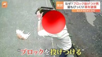 突然ブロックを投げつける男…寝ていた猫も驚き逃走！ 犯行の一部始終