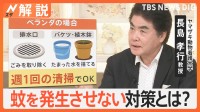 「ついに来たか…」子どもを中心に蚊の被害続出、刺される前に発生させない！ 刺されないための対策【Nスタ解説】